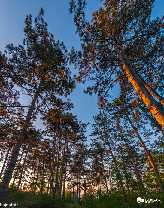 Május 10. reggelén 