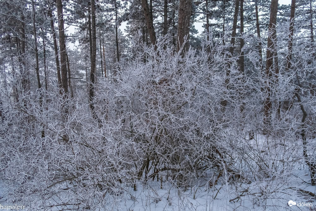 Budapest XIII.ker - Újlipótváros