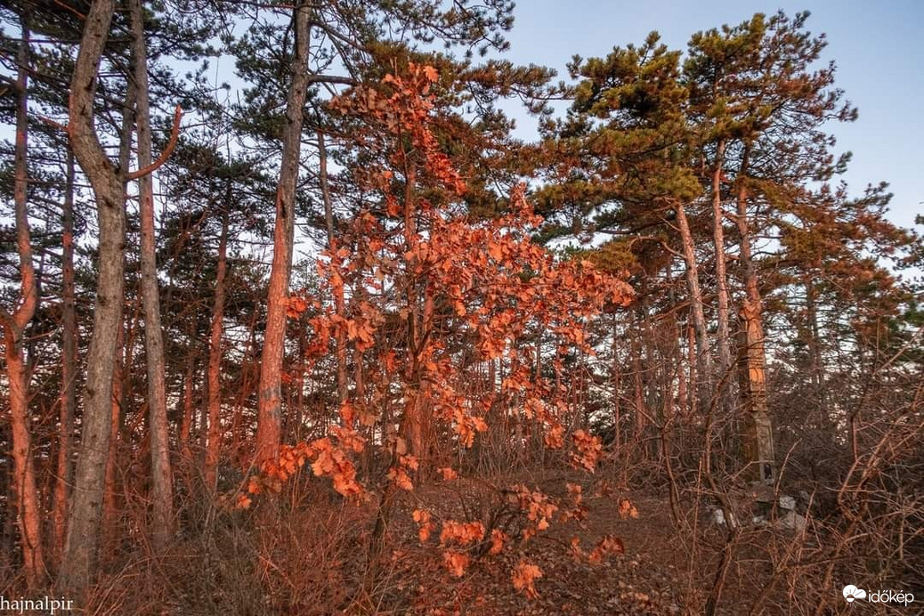 Pilisszentiván