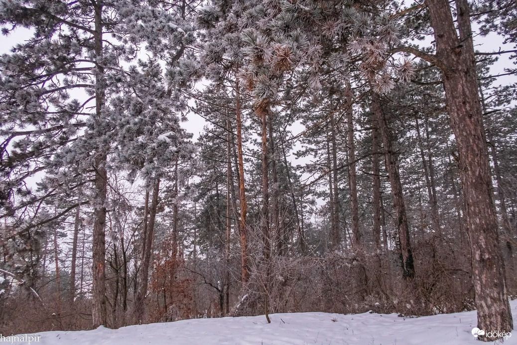 Budapest VI.ker - Terézváros