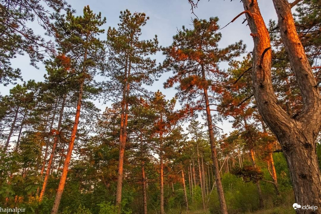 Pilisvörösvár