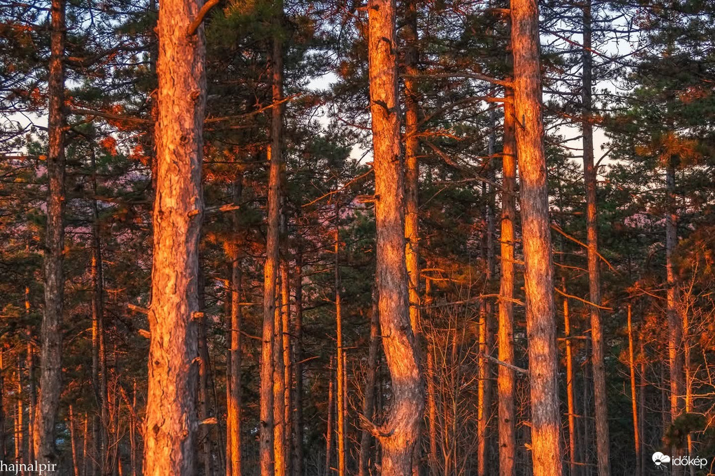 Pilisszentiván