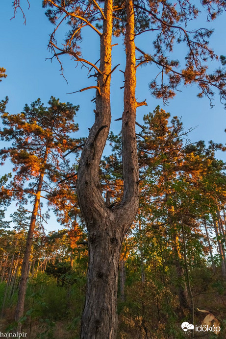 Augusztus 30. reggelén 
