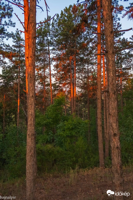 Július 21. reggelén 