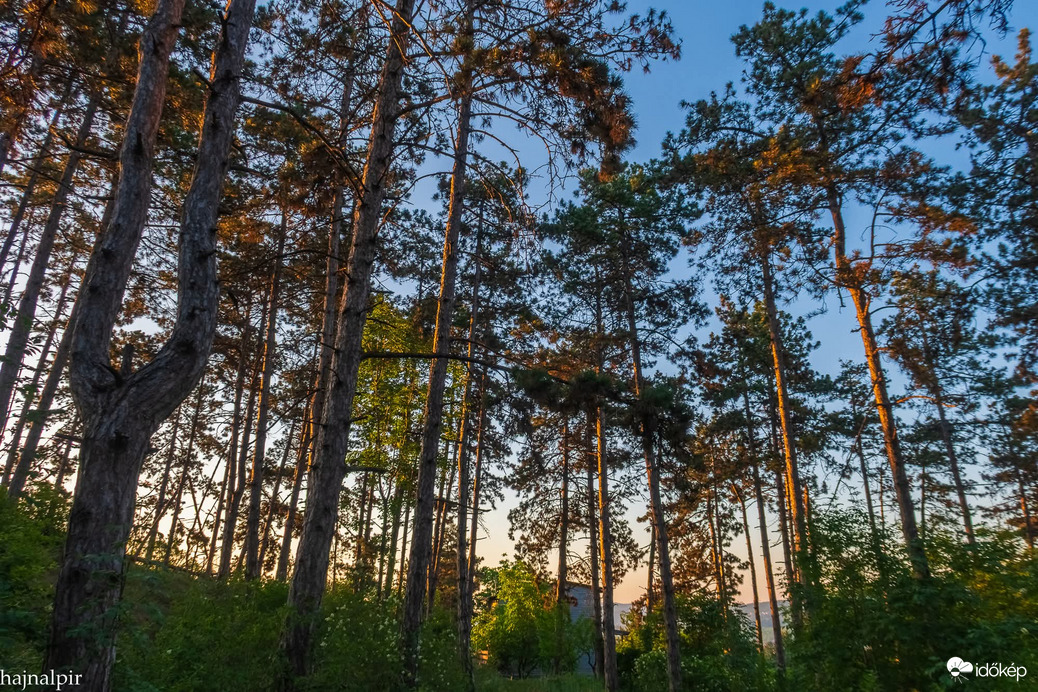 Május 31. reggelén 