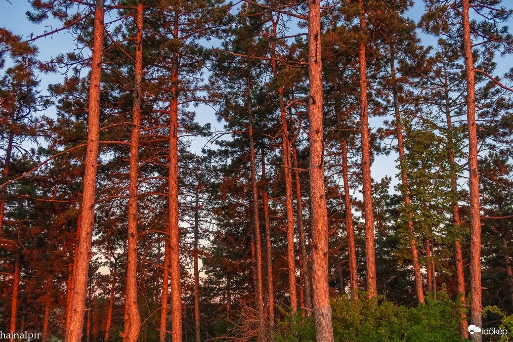 Május 29. reggelén 