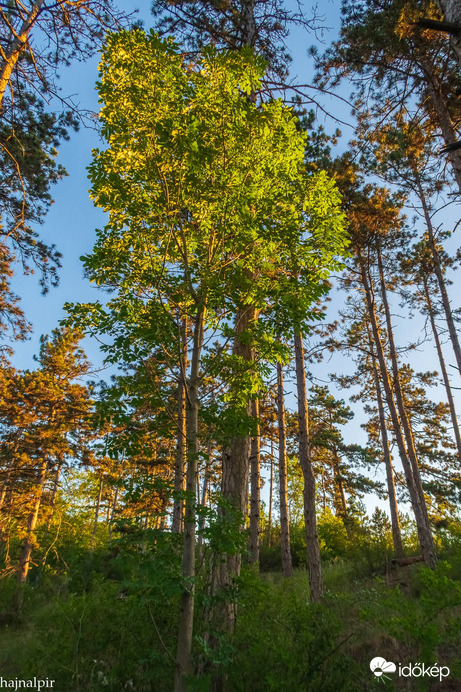 Május 26. reggelén 