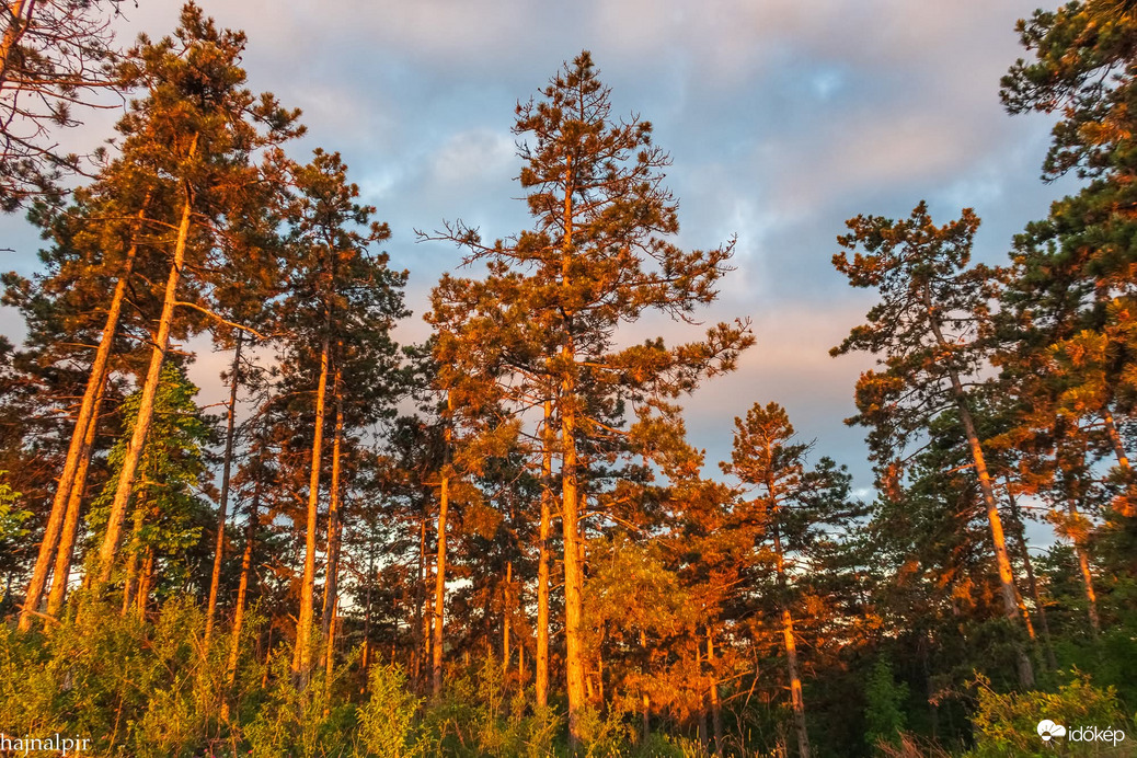 Május 13. reggelén 