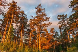 Május 13. reggelén 
