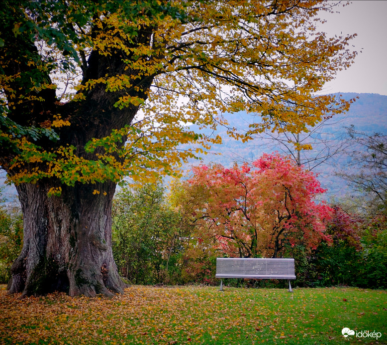 őszi színek Svájcban