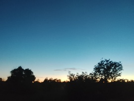 Tarnalelesz