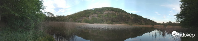 Vizparton