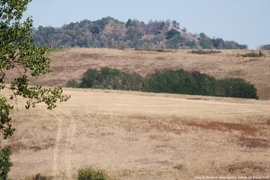 Puszta