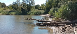 Hiány