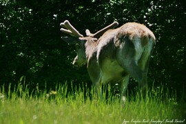 han358 fotója