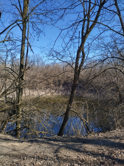 Gyomaendrőd