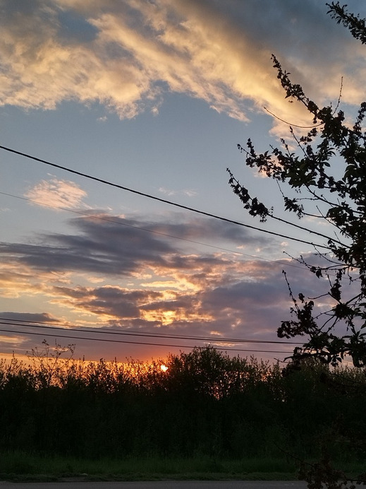 Gyomaendrőd