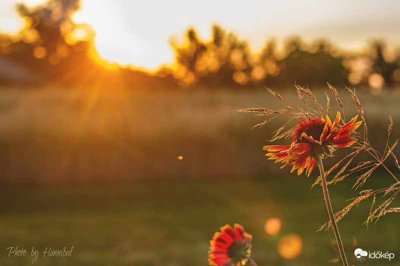 A hét utolsó sugarai 