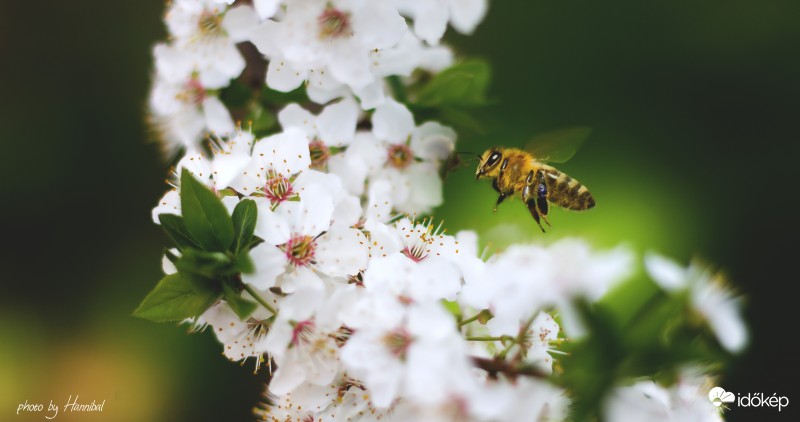 Landing....3...2...1