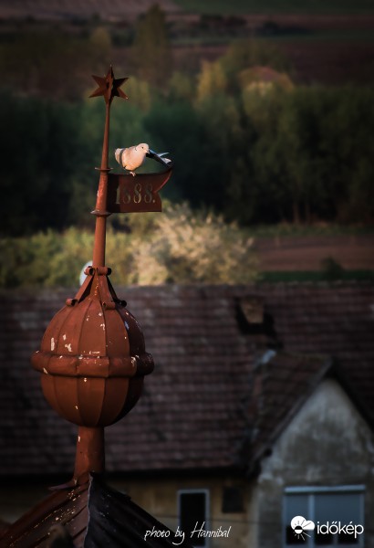 Hé' ti ott lent... Béke veletek! 