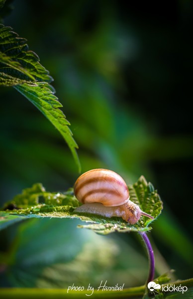 Hétfői hangulatjelentés 