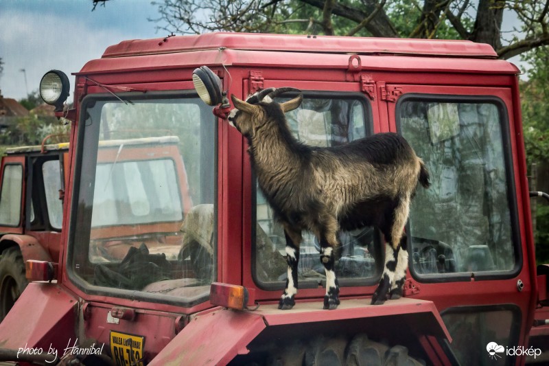 Ezt a lámpát cserélni kéne ...
