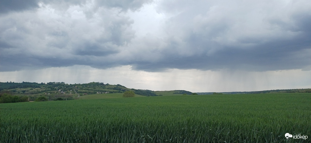 Sásd