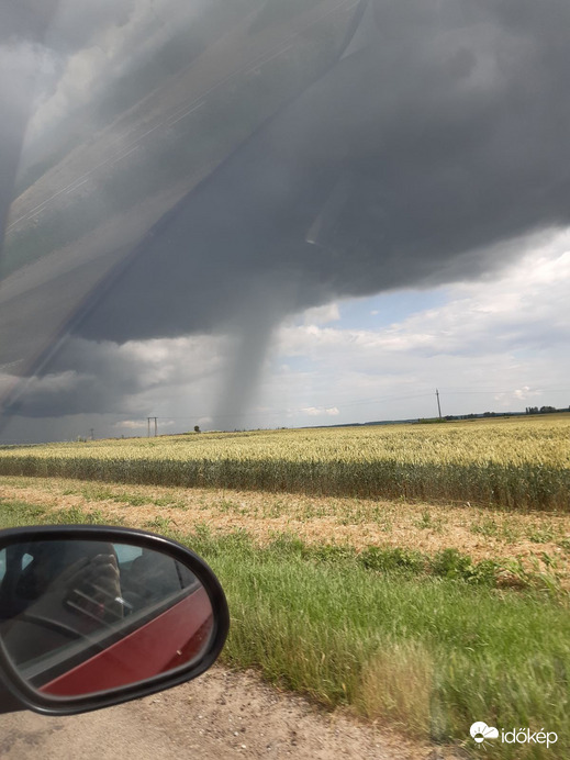 Szederkény mellett 2023.06.10. 15:37
