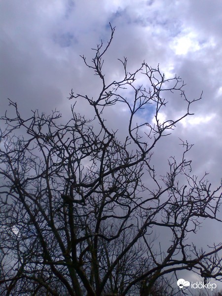 Barátihegy , 2017.3.6.-3