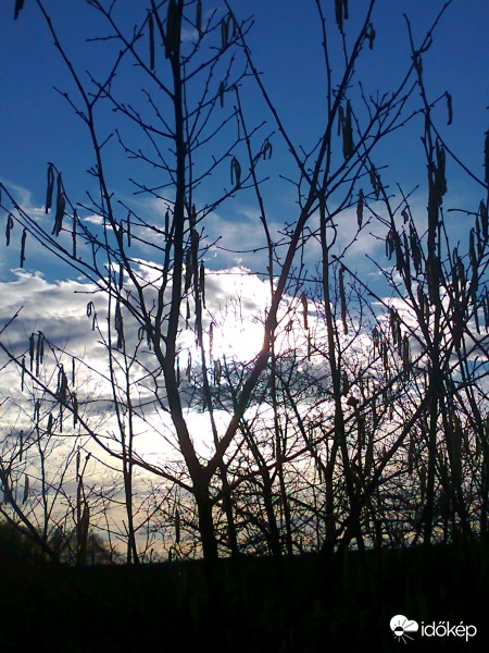 Barátihegy , 2017.3.6.-5