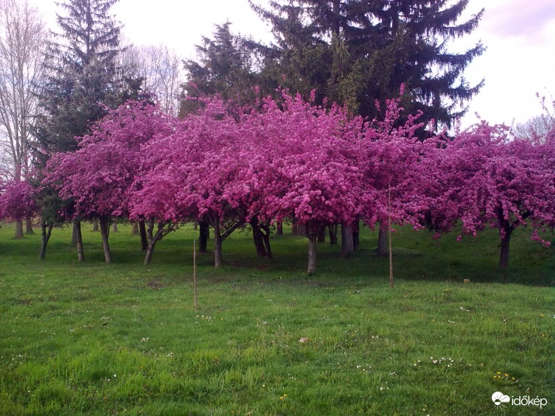 Senglasl-Szentlászló