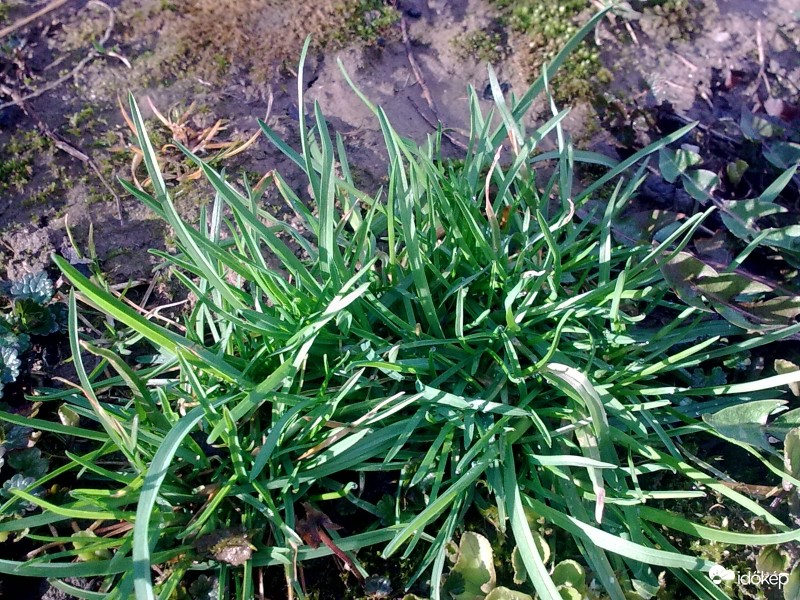 Ezt már kalapáccsal sem lehet visszaverni !