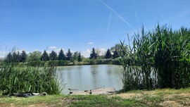 Kocsord