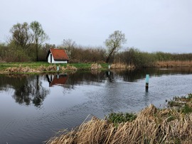 Áprilisi csendélet...