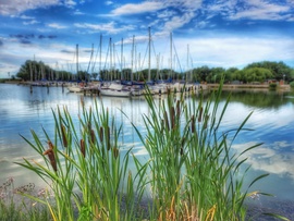Buzogányos Balaton...