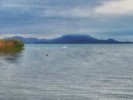Balaton