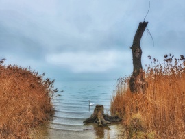 Csendélet az öbölben...