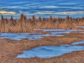 Már csak fehér foltok...
