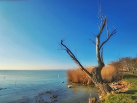 Élet és enyészet...