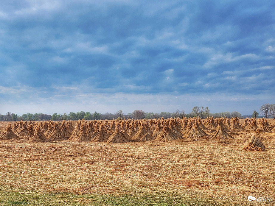Együtt a család...