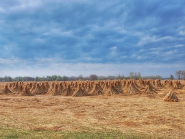 Együtt a család...