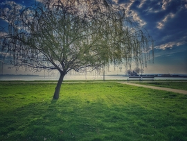 Színesedik a természet...