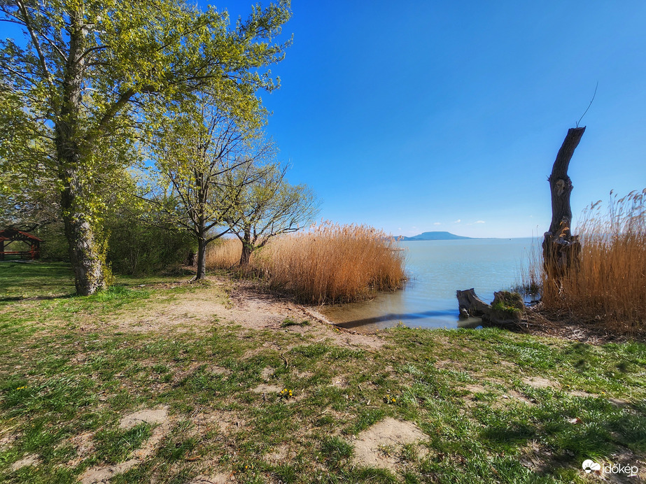 Csütörtöki csendélet...