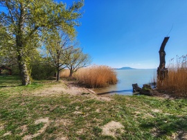 Csütörtöki csendélet...