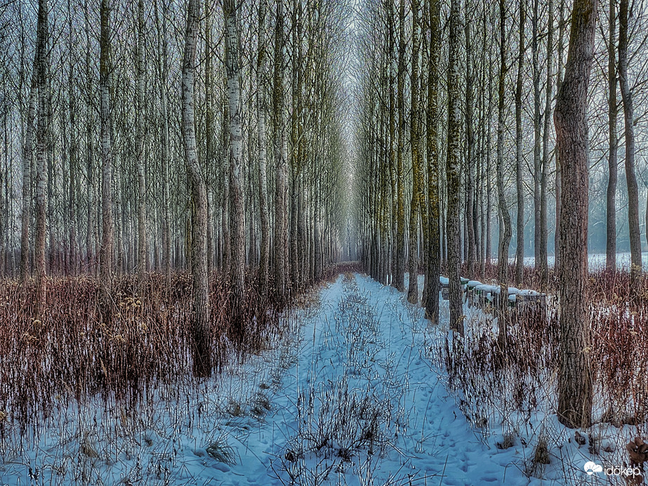 Reggeli sorakozó...