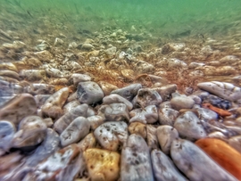 A magyar tenger +fenekén"...