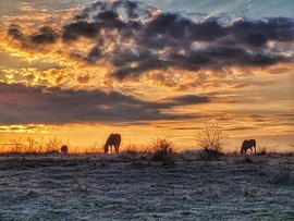 Jó étvágyat kívánok!