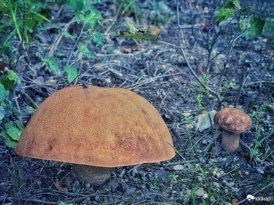 Bombasztikus…