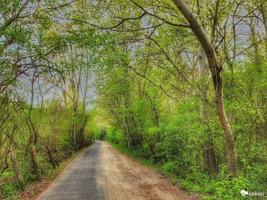(Kerékpár)úton...