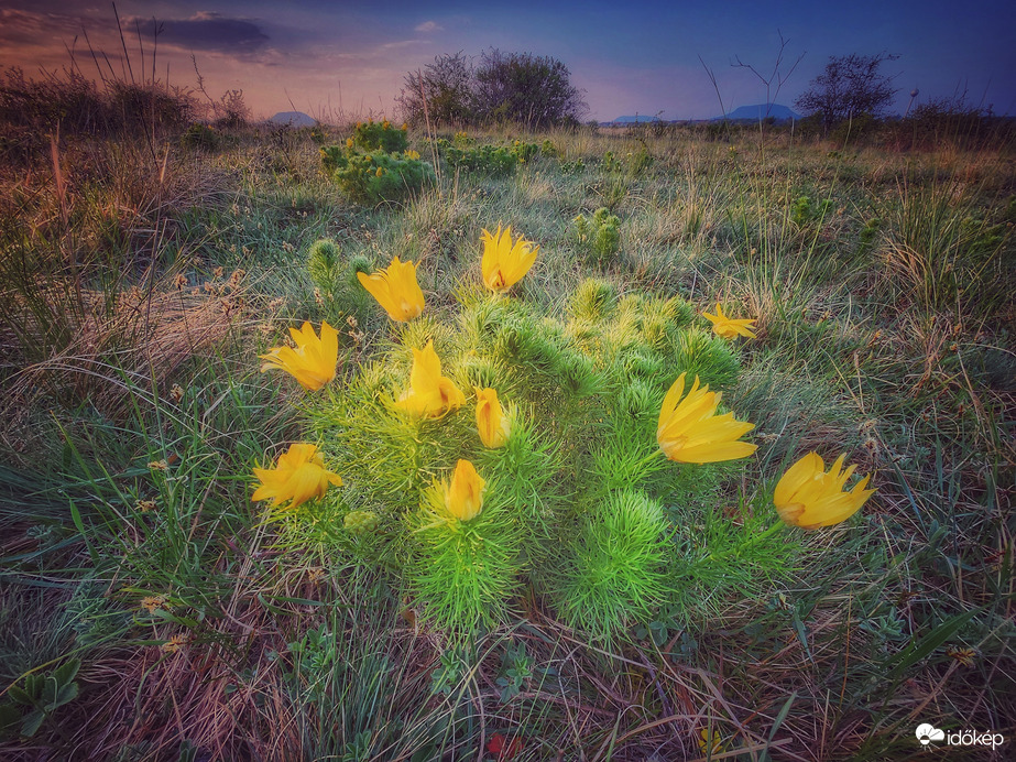 Színes ébredés...